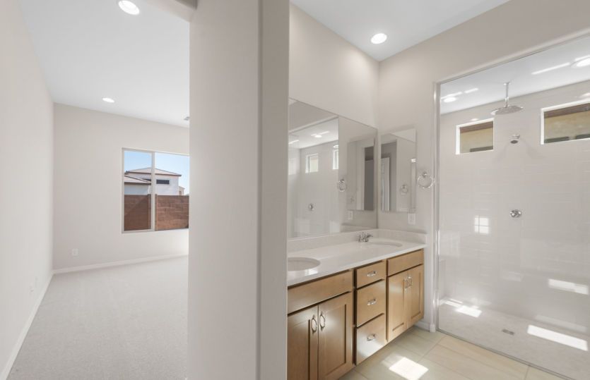 Owner's Bath