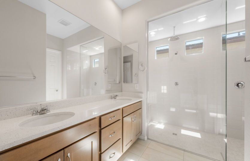 Owner's Bath