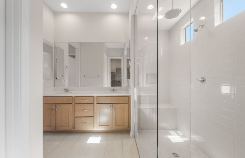 Owner's Bath