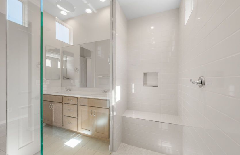 Owner's Bath