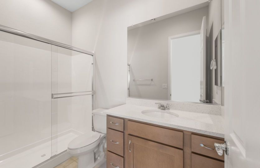 AllGen Suite