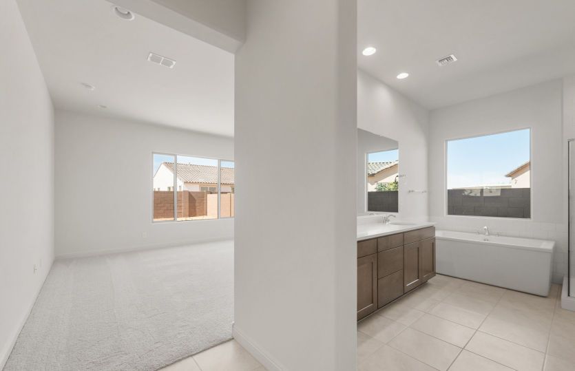 Owner's Bath
