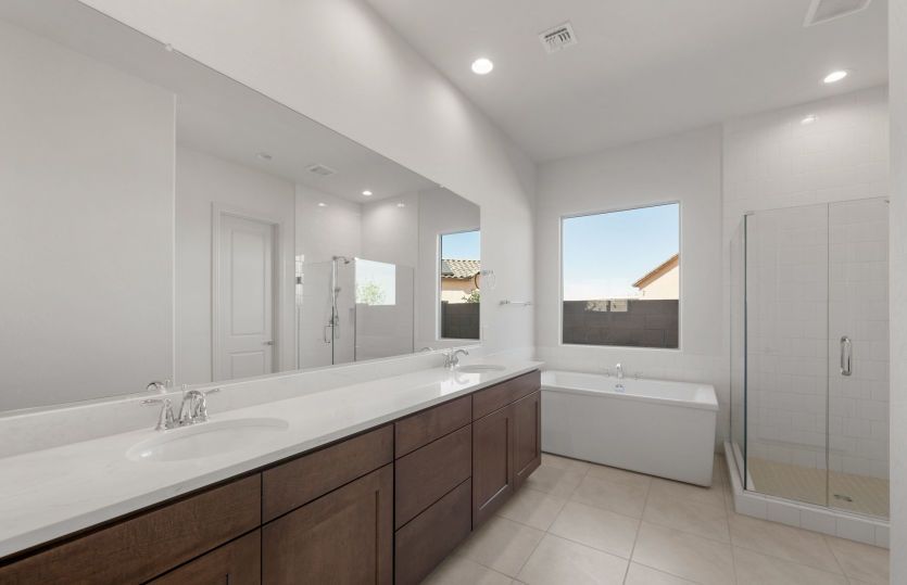 Owner's Bath