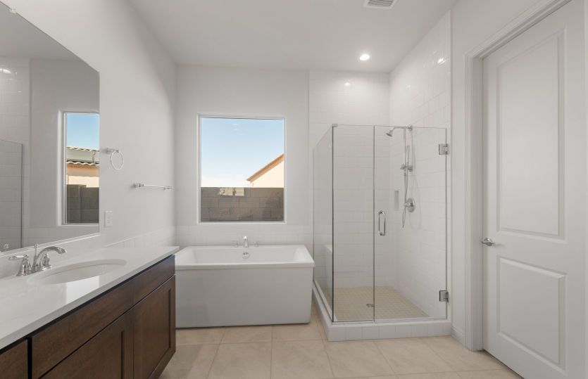 Owner's Bath