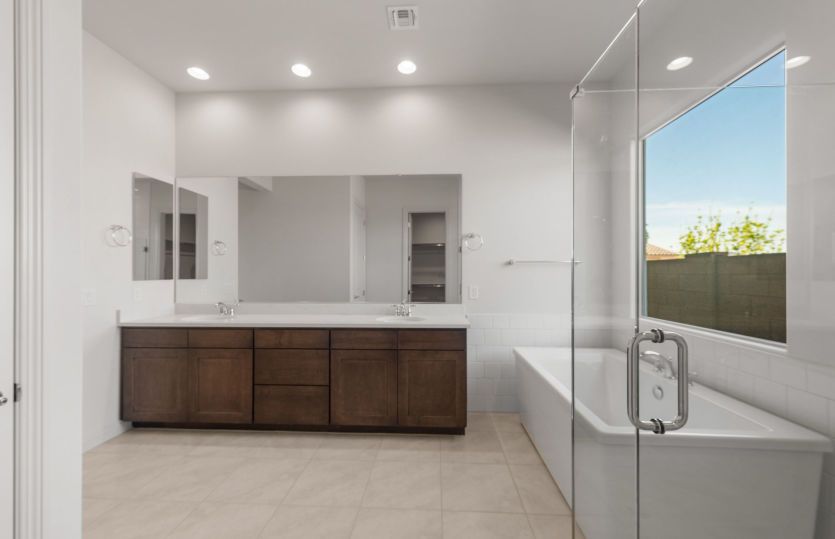 Owner's Bath
