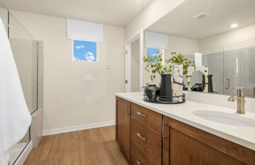 Owner's bath