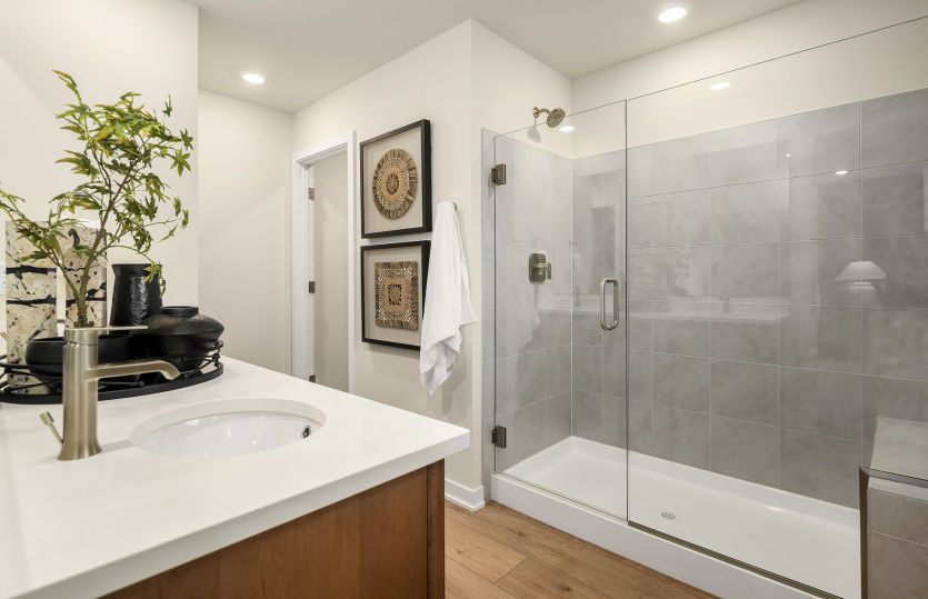 Owner's walk-in shower