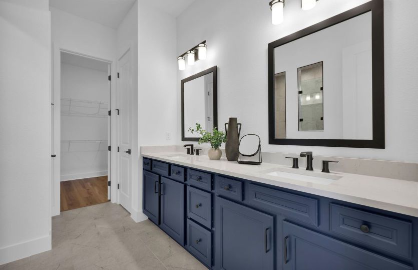 Mahogany | Owner's Bathroom