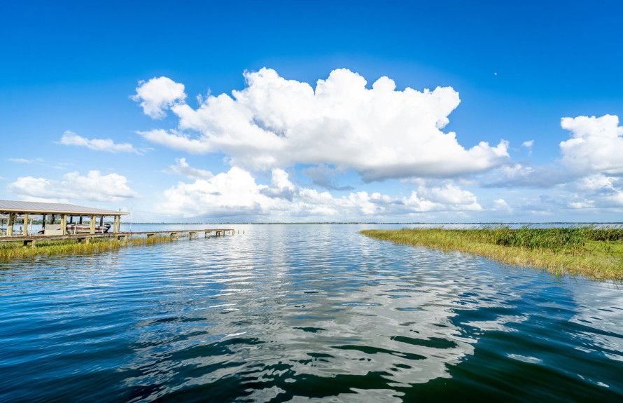 Nearby Harris Chain of Lakes