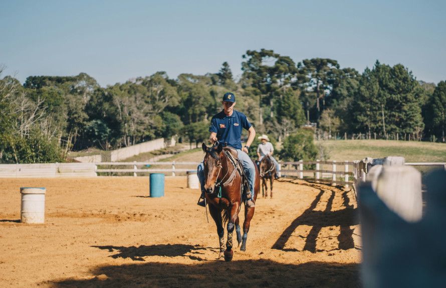 Horse Stables Nearby