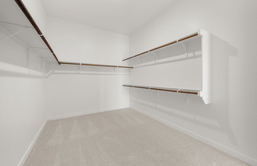 Primary Closet