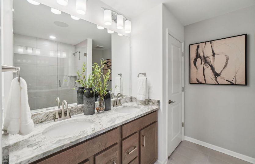 Owner's Bath