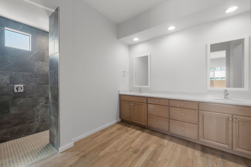 Owner's Bath