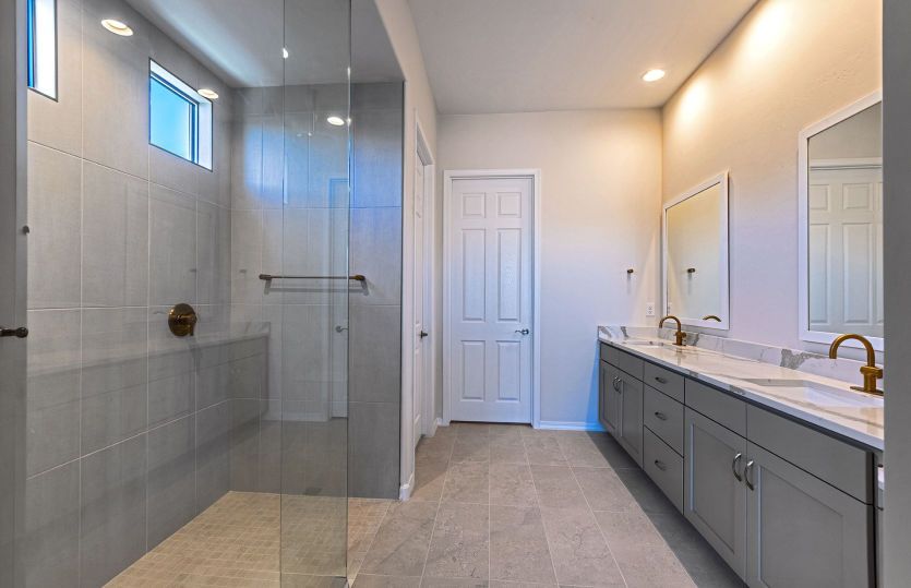 Owner's Bath