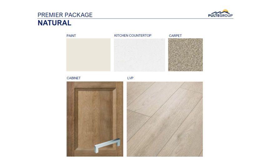 Interior Color Scheme
