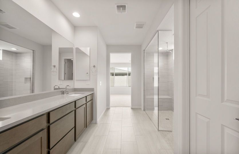 Owner's Bath