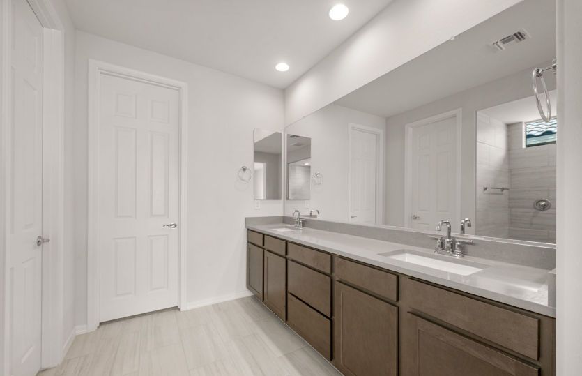 Owner's Bath