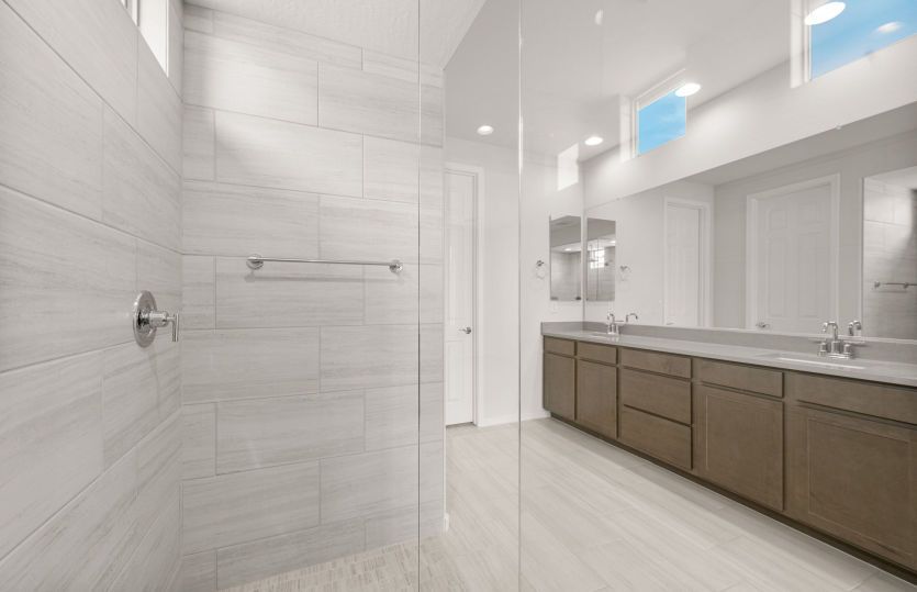 Owner's Bath