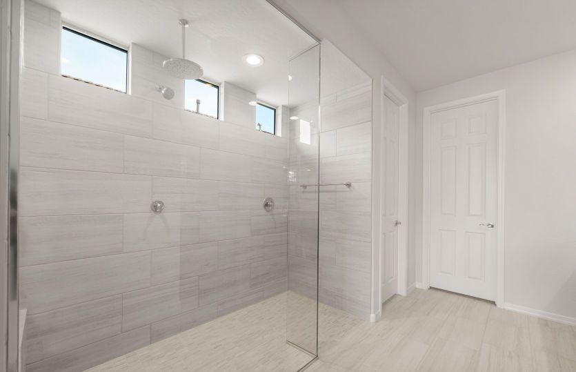 Owner's Bath