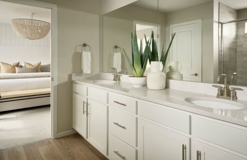 Owner's Bath