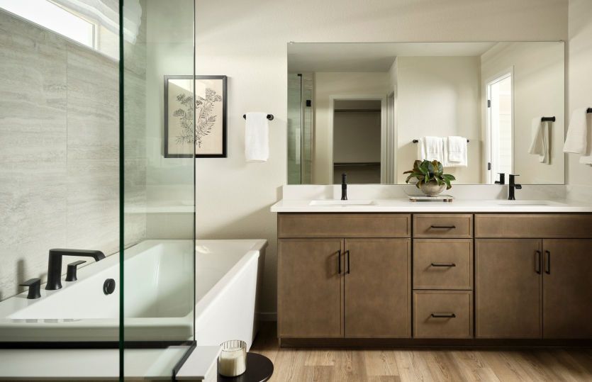 Owner's Bath