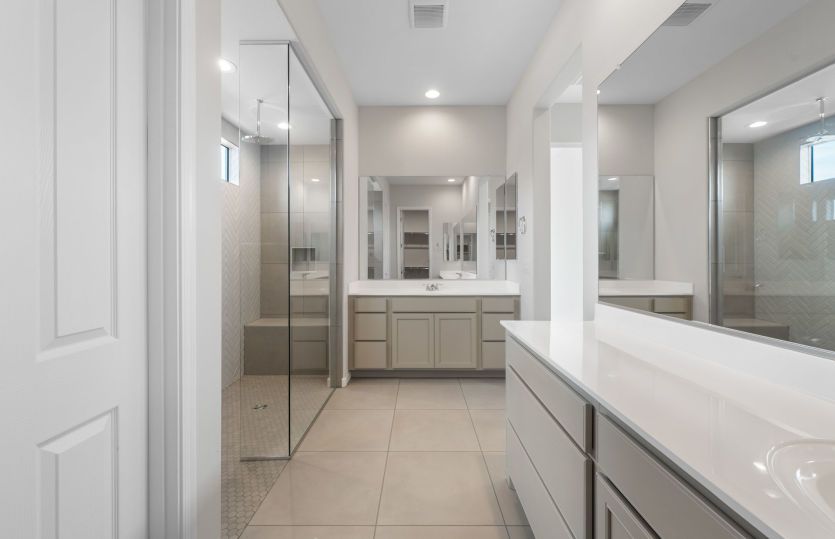 Owner's Bath