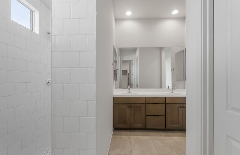 Owner's Bath