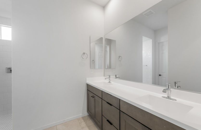 Owner's Bath