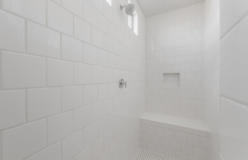 Owner's Bath