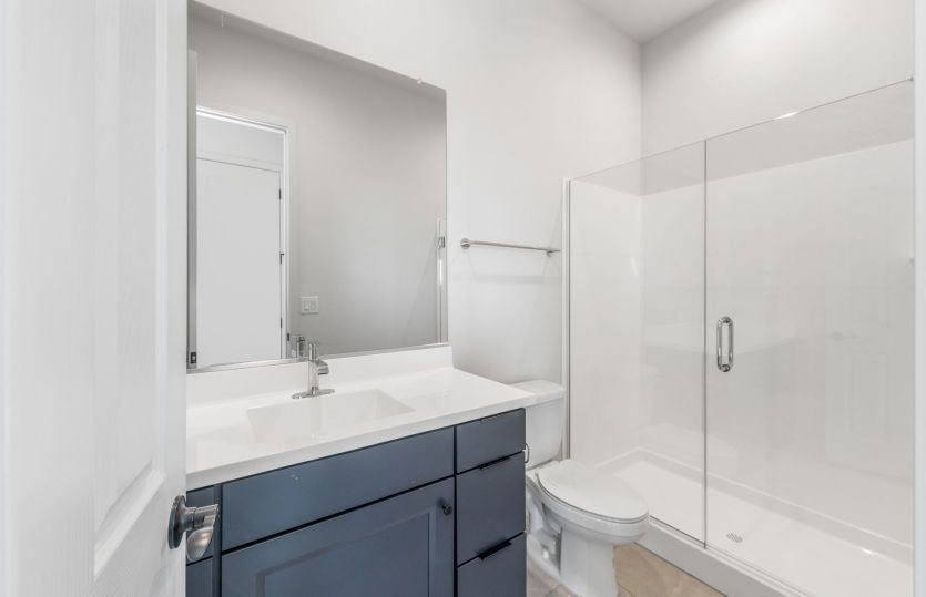 AllGen Suite
