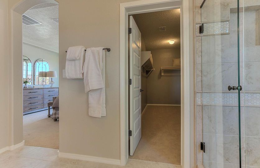 Large walk-in closet in the private owner's bath.