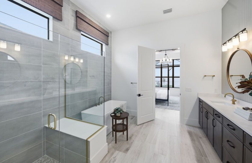 Owner's spa like bathroom