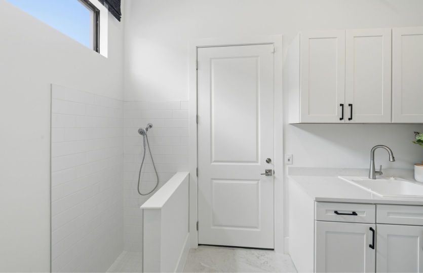 Laundry room with pet spa