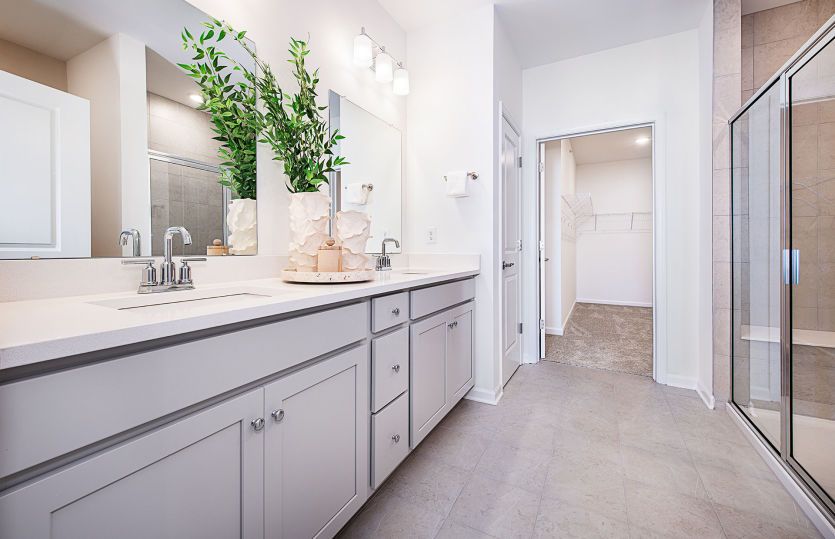 Owner's luxury bath