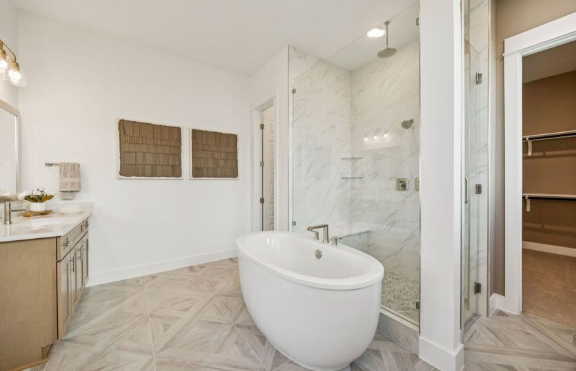 Owner's Bath