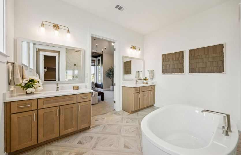 Owner's Bath