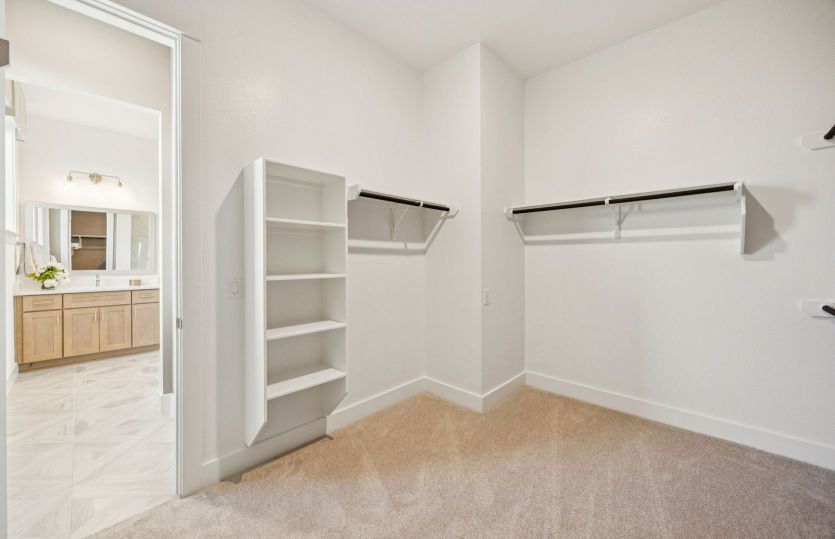 Owner's Walk-In Closet