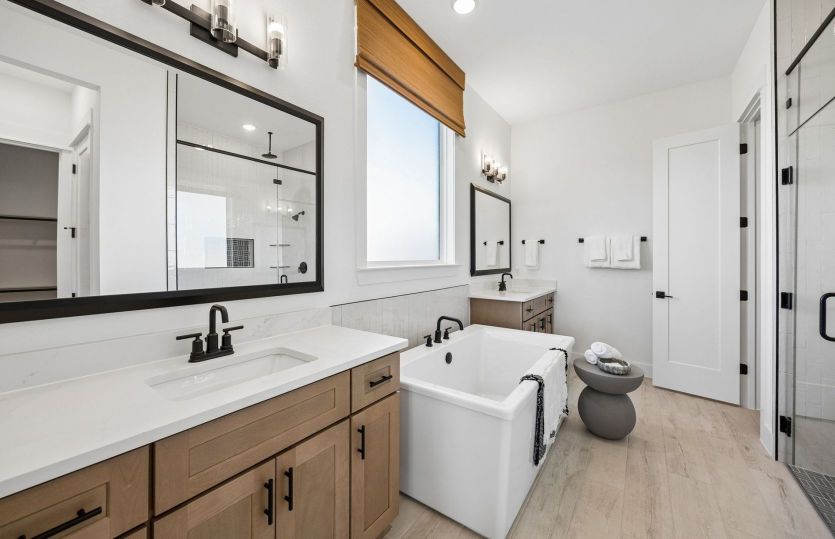 Owner's Bath with Separate Tub & Shower