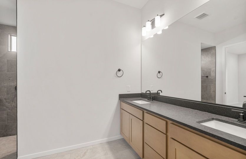 Owner's Bath