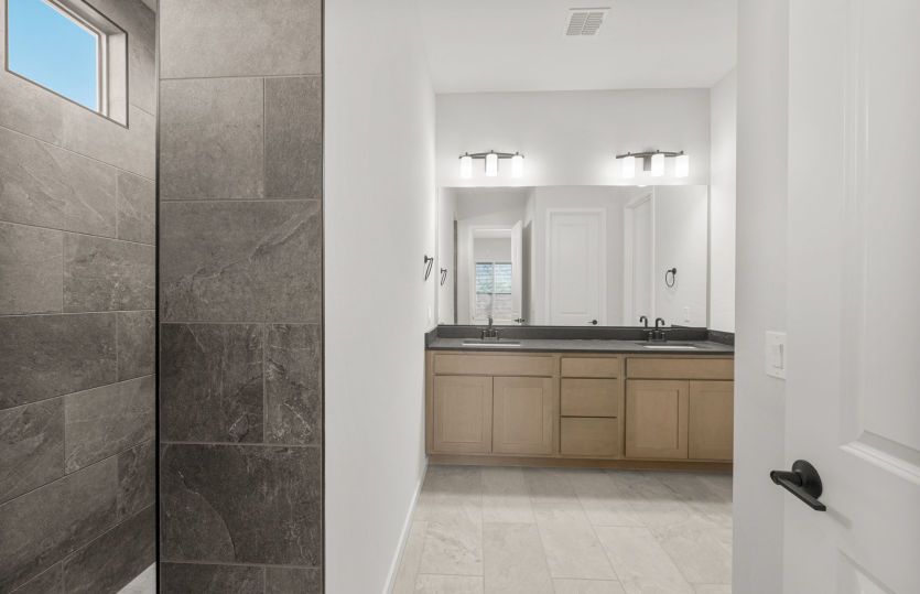 Owner's Bath