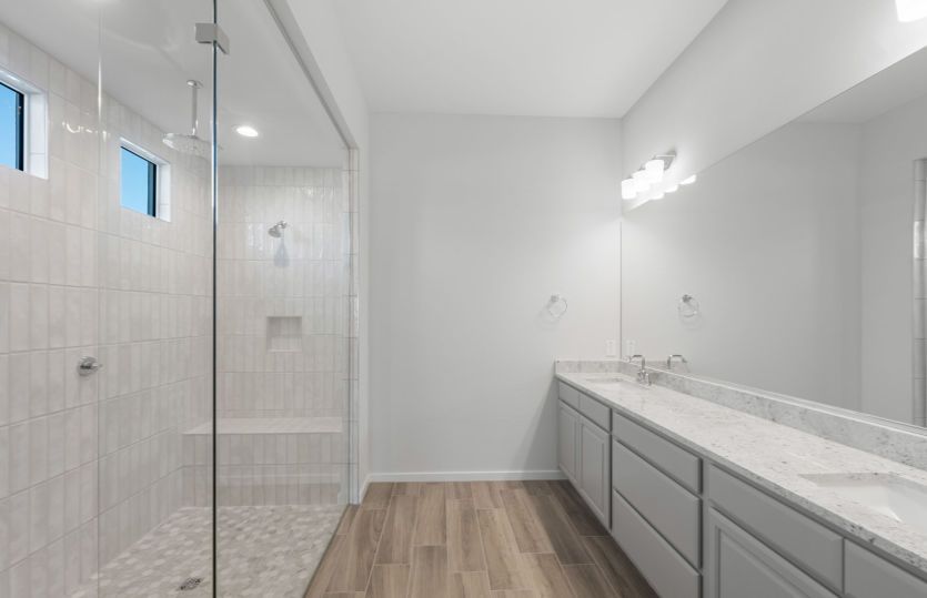 Owner's Bath