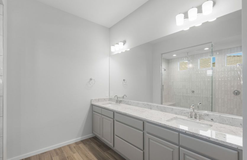 Owner's Bath