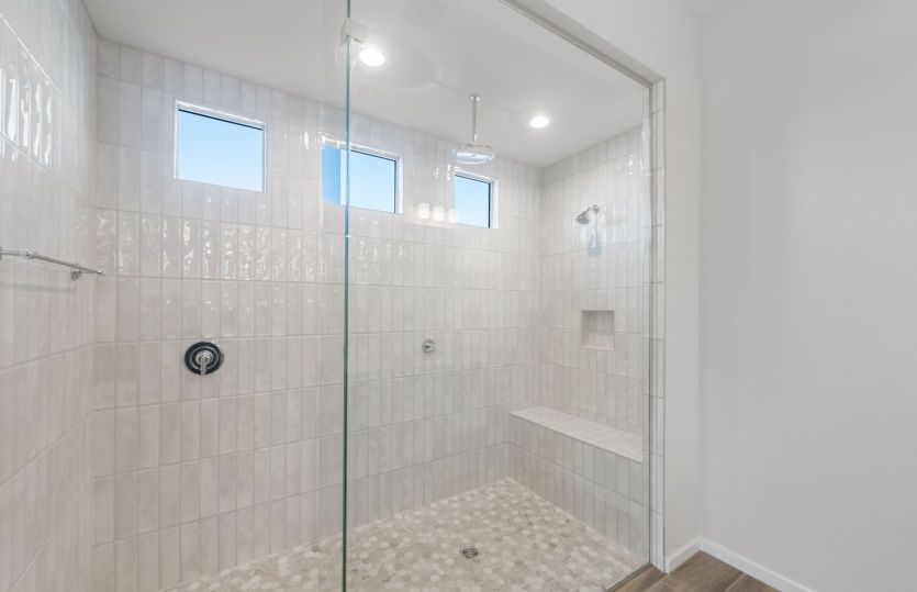 Owner's Bath