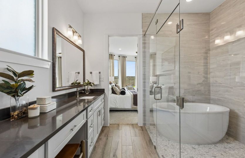 Luxurious Owner's Bath