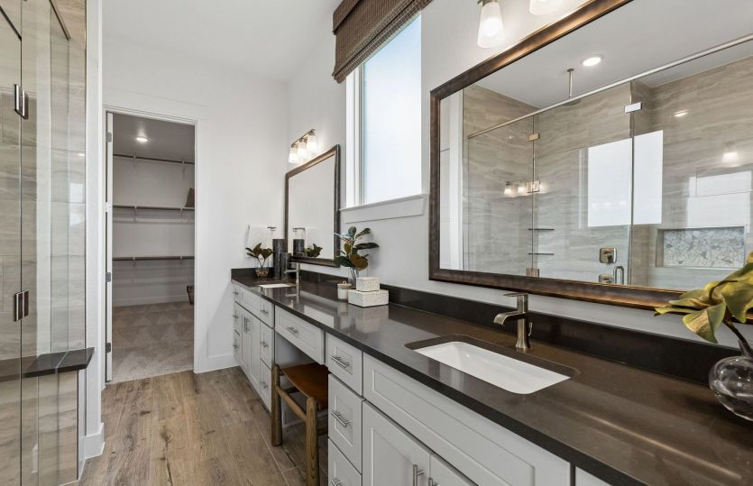 Owner's Bath