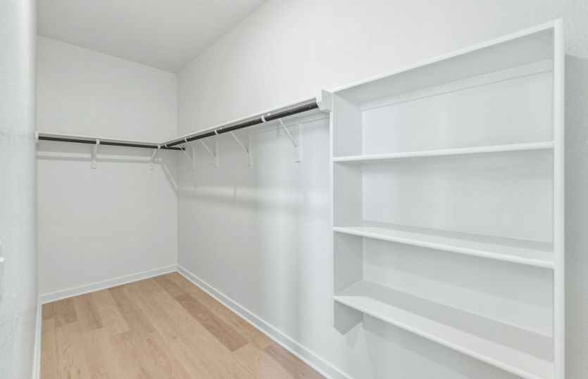 Primary Closet
