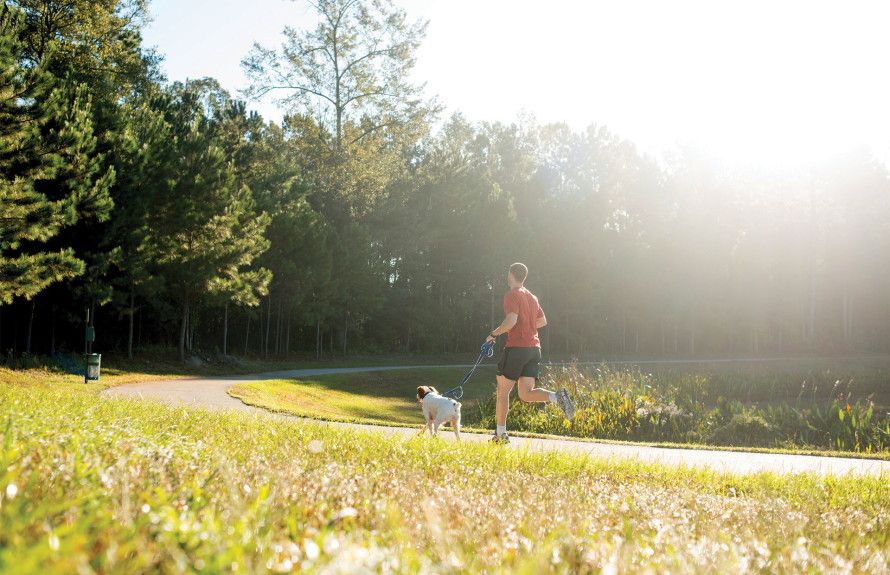 Trails and Open Spaces