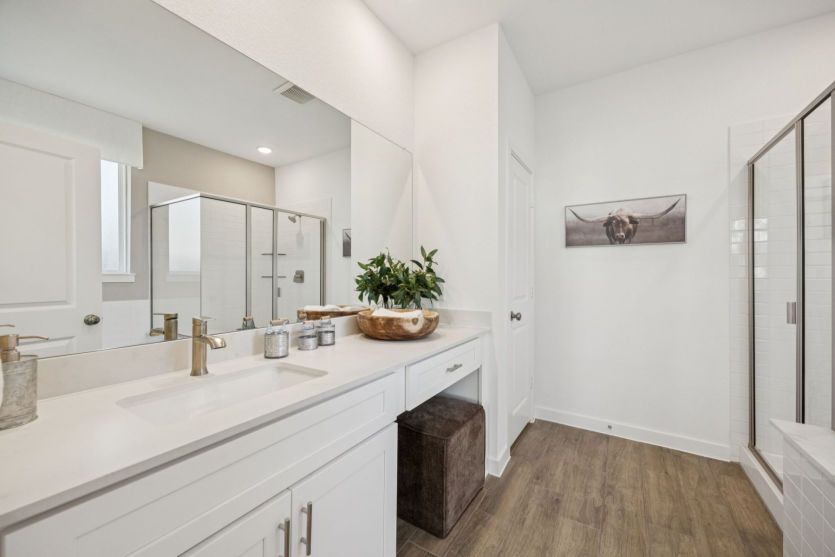 Primary Suite Bathroom