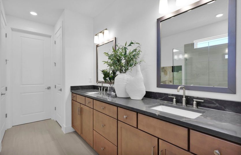 Palmary | Owner's Bathroom