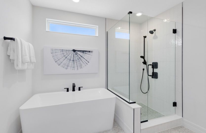 Owner's Spa-like Bath